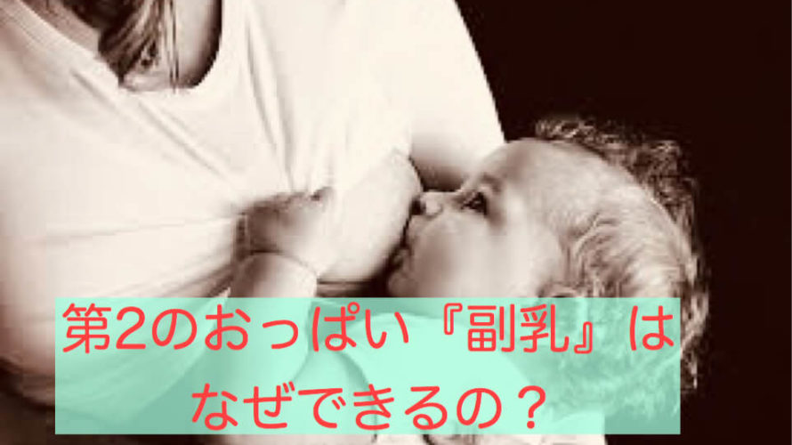 いつまで Birth Consultant For