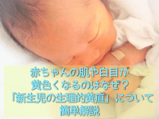 赤ちゃんの肌や白目が黄色くなるのはなぜ 新生児の生理的黄疸 について簡単解説 バースコンサルタントcafe